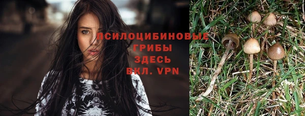 прущая мука Абинск
